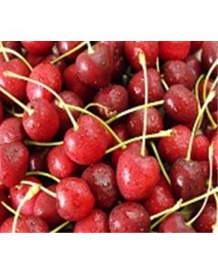 Jumbo Red Cherries