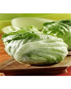 Organic Iceberg Lettuce