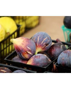 Fresh California Figs (16oz.)