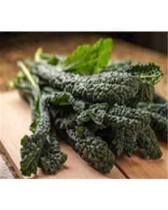 Organic Lacinato Kale
