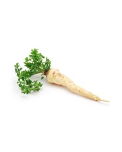 Parsley Root
