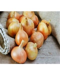 Yellow Onions