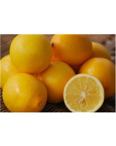 Lemon Meyer Bag
