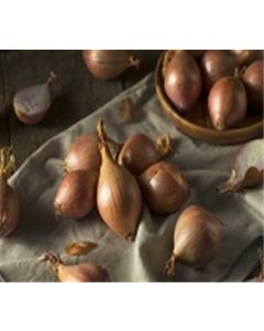 Shallots
