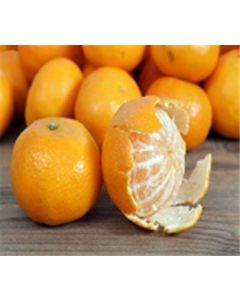Clemtines oranges 5LB Gift Box