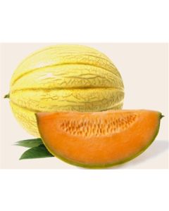 Cranshaw Melon