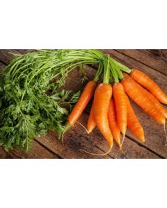 Carrots Bunch