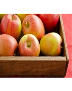 Braeburn Apples