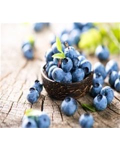 Organic Blueberries 6OZ