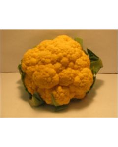 Orange Cauliflower