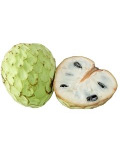 Cherimoya