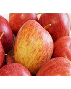 Organic Gala Apples
