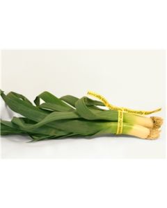 Leeks, Organic