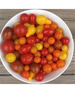 Cherry Tomatoes Medley Mix (12 oz.)