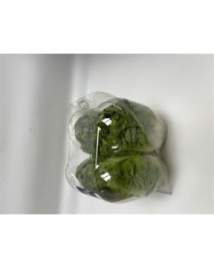 Little Gem Lettuce