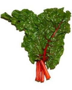 Red Swiss Chard
