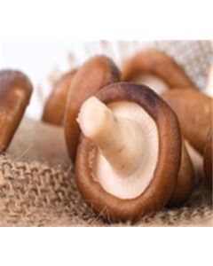 Shiitake Mushrooms, Organic