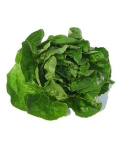 A&V Butter Lettuce Leaves (5oz)