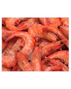 Shrimp Platter (6oz.)