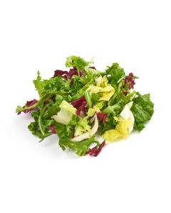 A&V Italian Salad Mix (5oz)