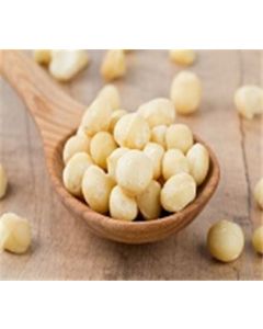 Macadamia Nuts Raw 7Oz
