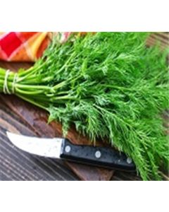 Organic Fresh Dill