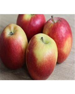 Jazz Apples