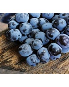 Concord Grapes