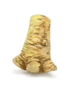 Horseradish