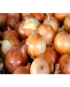 Sweet Onion