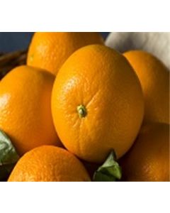 Cara Cara Navel Oranges