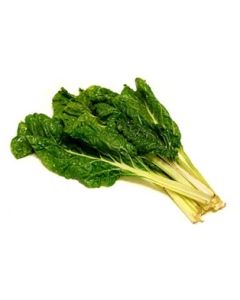 Green Swiss Chard