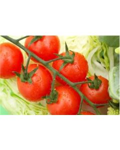 Cherita Cherry Tomatoes On The Vine