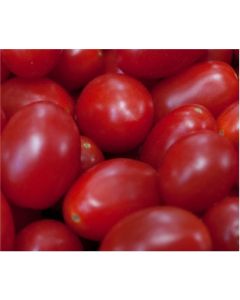 Cherub Tomatoes (1pt)