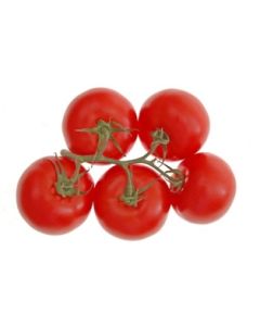 Canadian Tomatoes On The Vine