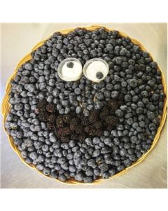 Kids Character Platter #4