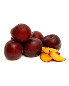 Apricot Red Velvet