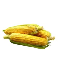 Corn Baby Husked