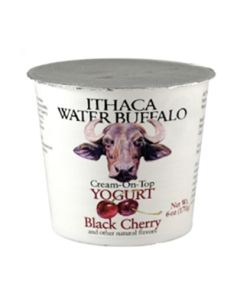Ithaca Milk Black Cherry Yogurt (6oz.)