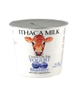 Ithaca Milk Blueberry Yogurt (6oz.)