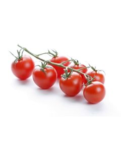 Cherry Vine Tomatoes