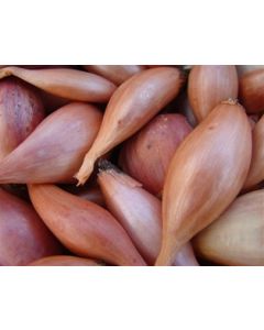 Organic Shallots (10oz)