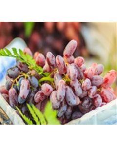 Moon Grapes