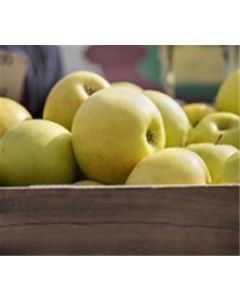 Golden Delicious Apples, Organic