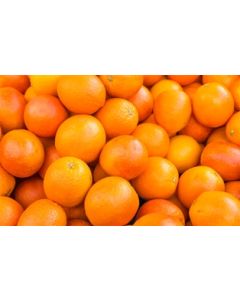 Organic Navel Oranges