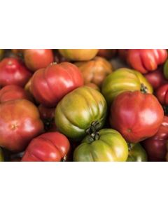 Organic Heirloom Tomatoes