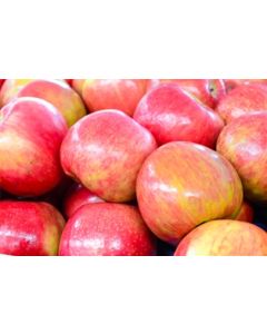 Organic Ambrosia Apples