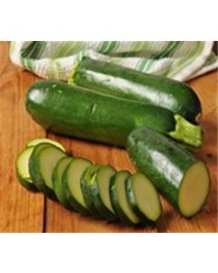 Organic Local Green Zucchini