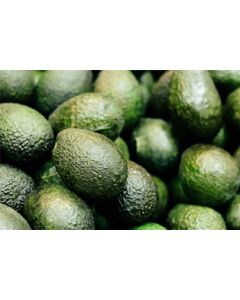 Organic Hass Avocados
