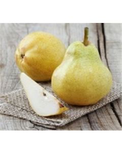 Organic Bartlett Pears